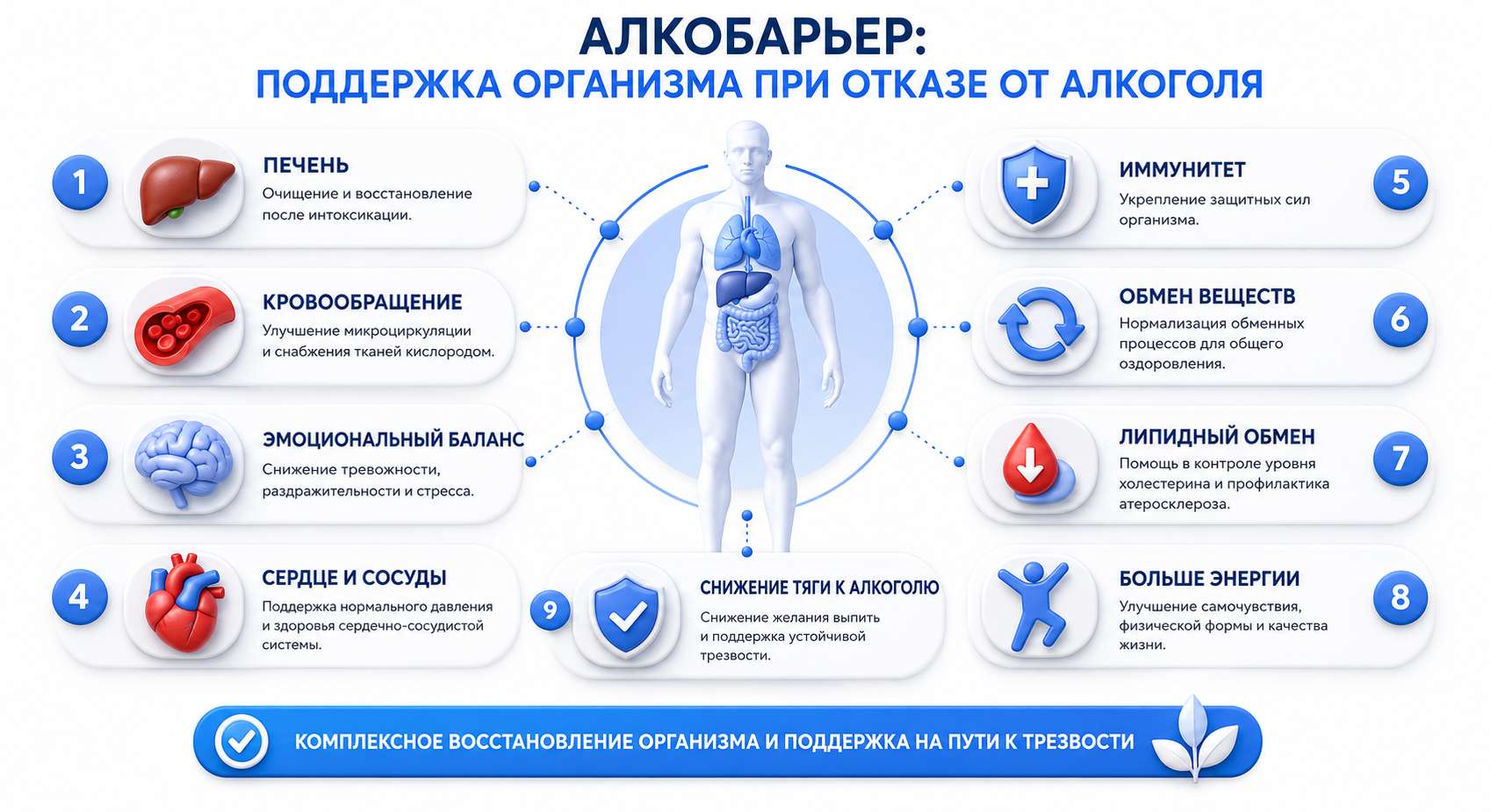 Инфографика на тему Алкобарьера и поддержки организма при отказе от алкоголя